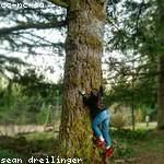 Odessa Frami Profile Picture