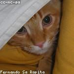 Sage Prosacco Profile Picture